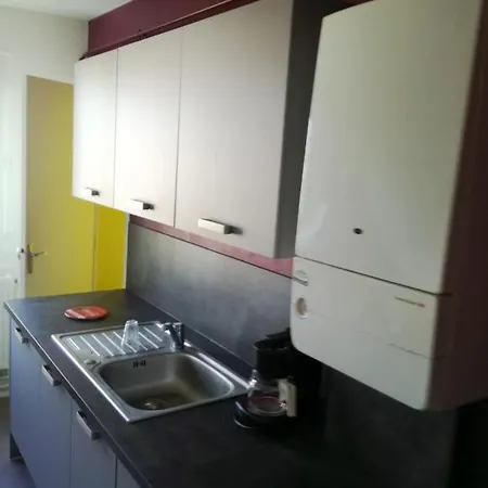 With 2 Bedrooms In Ferrand With Wonderful Mountain View And Balcony * Clermont-Ferrand